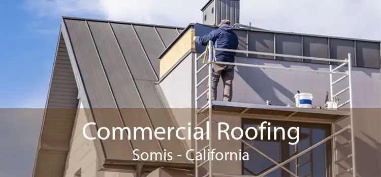Commercial Roofing Somis - California