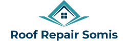 roof repair experts Somis